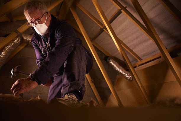 Best Insulation Maintenance and Repair in Friday Harbor, WA