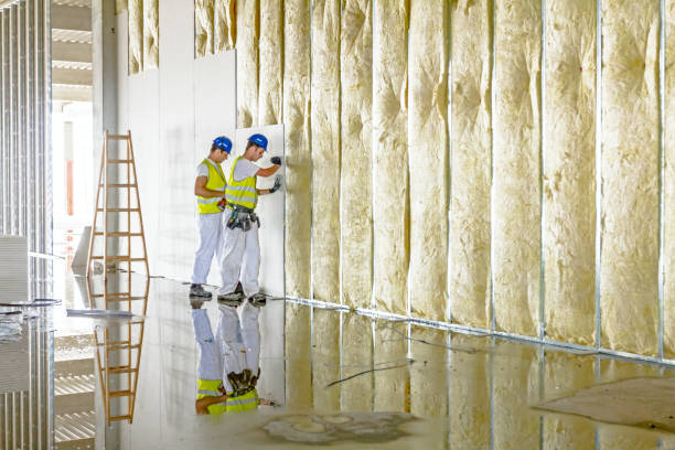 Best Insulation for Specific Applications in Friday Harbor, WA